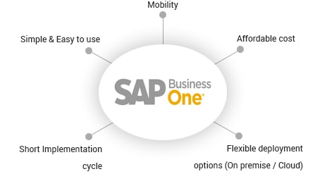 SAP Business One