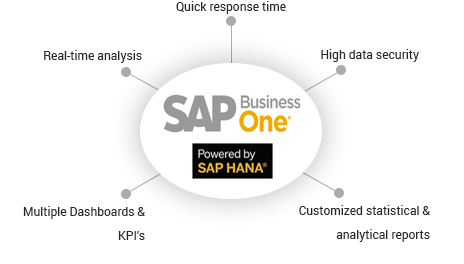 SAP Business One Powered by SAP HANA
